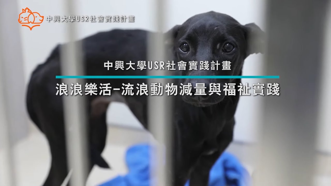 【微電影】USR EXPO 中興大學浪浪樂活實踐計畫影片