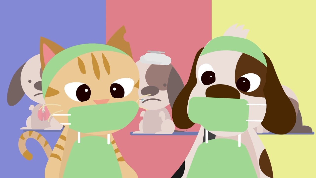 犬貓絕育術後照護介紹影片